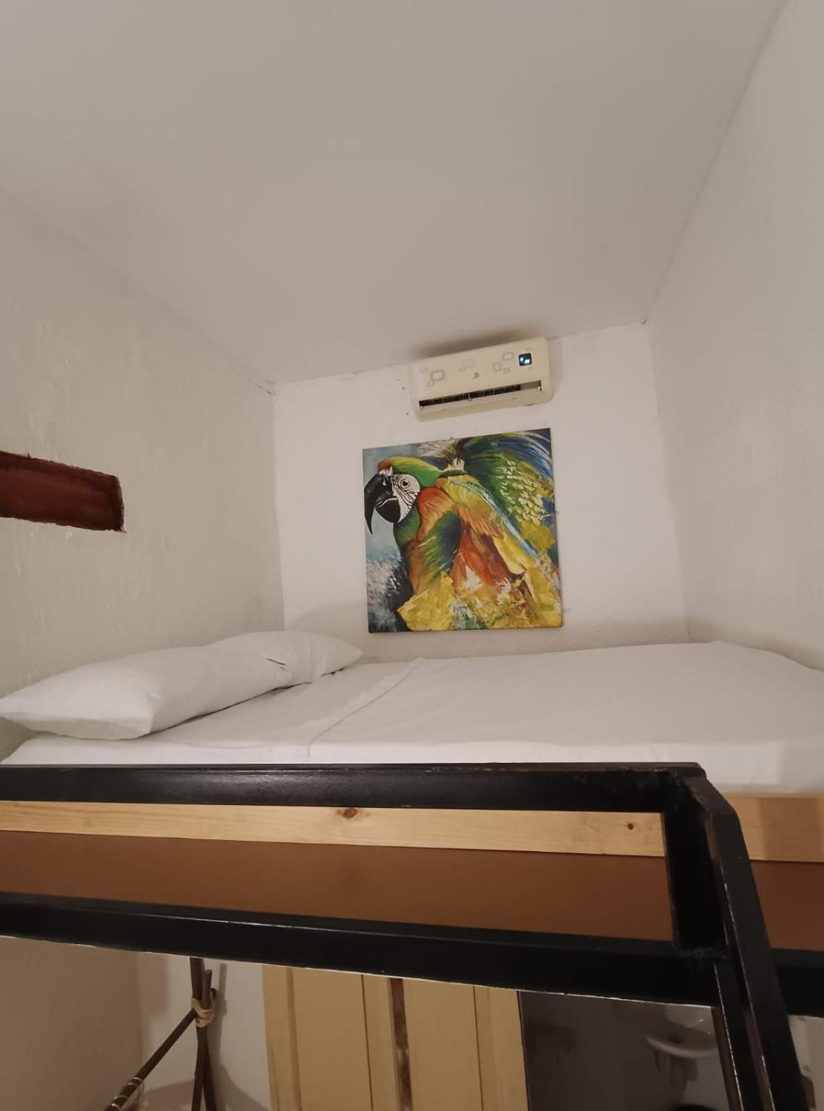 Lotus Central Hotel Санта-Марта Экстерьер фото